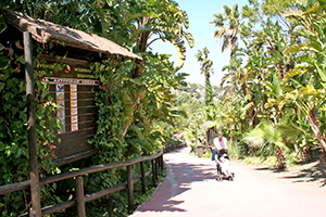 Safaripark
