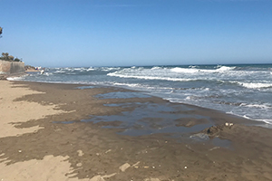 Strand