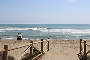 Strand