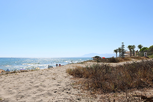 Strand