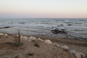 Strand